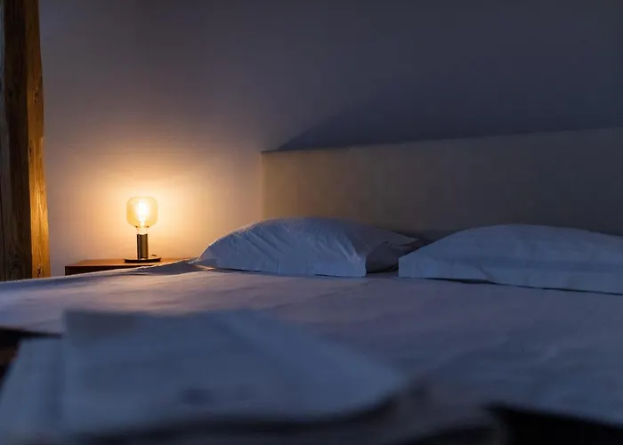 Гостьовий будинок Casa Postavarului 3*